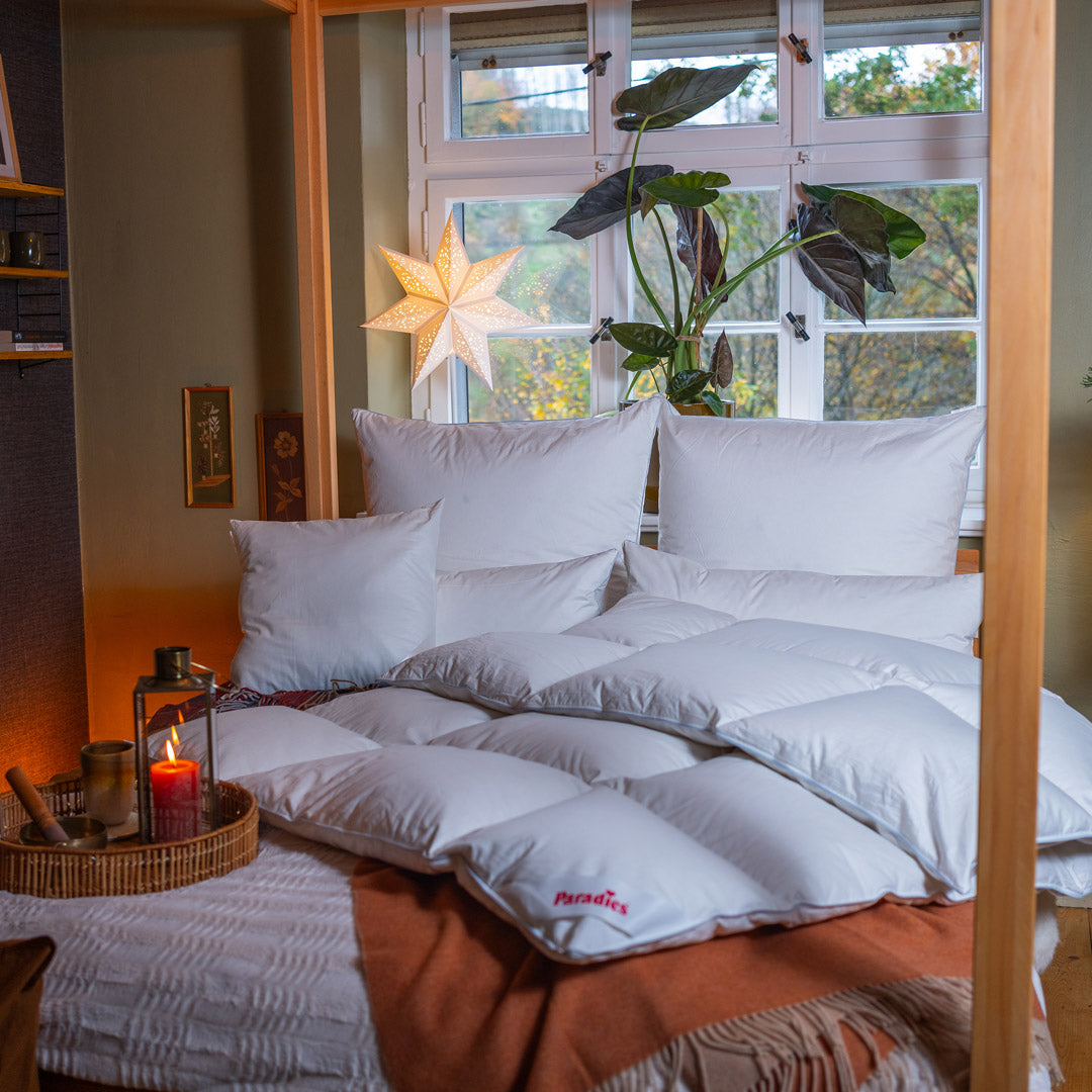 Gemütliches Bett mit weißen Kissen und Decke vor einem Fenster mit einem beleuchteten Papierstern und einer großen Zimmerpflanze