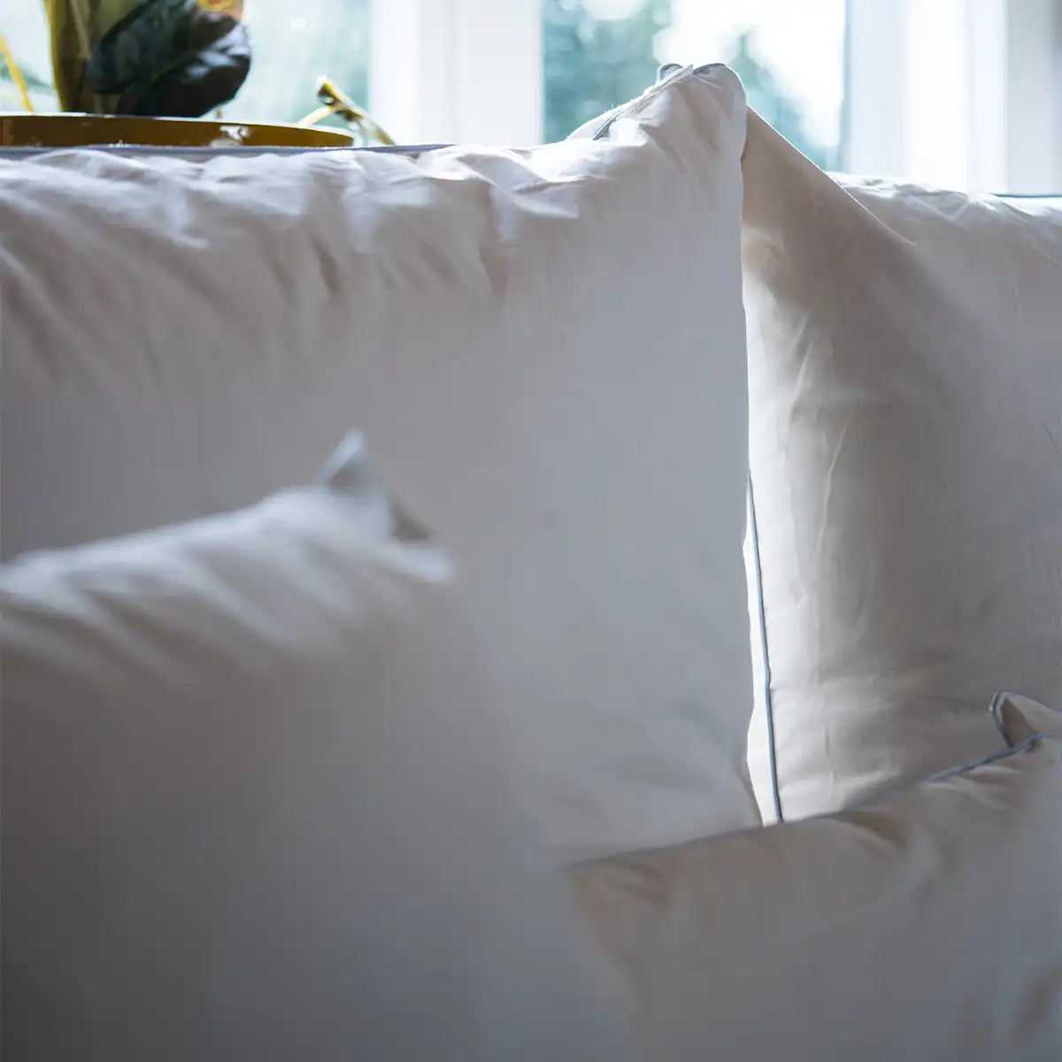 Nahaufnahme von mehreren weißen Kissen auf einem Sofa vor einem Fenster