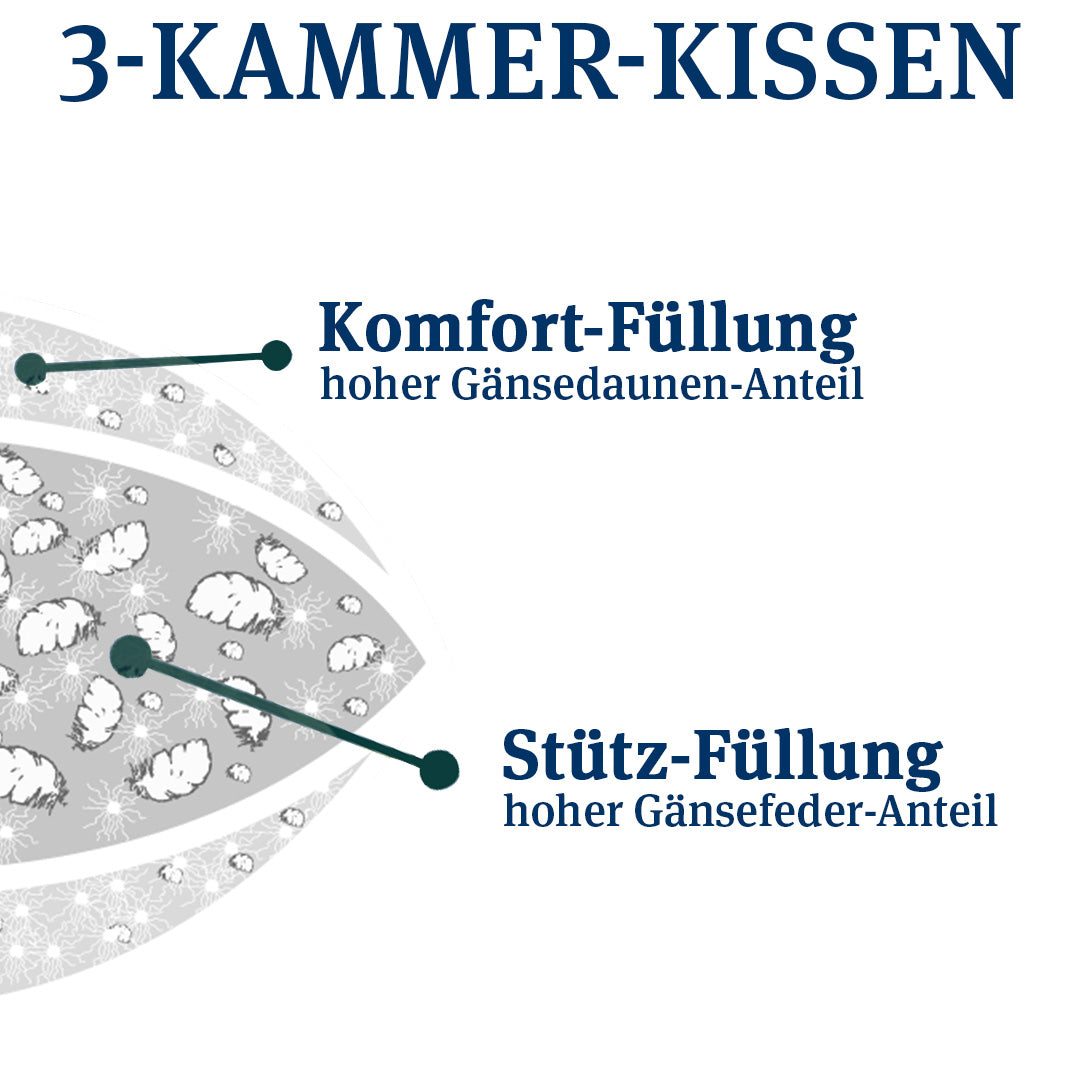 Schematische Darstellung eines 3-Kammer-Kissens mit Beschriftungen für Komfort-Füllung mit hohem Gänsedaunen-Anteil und Stütz-Füllung mit hohem Gänsefeder-Anteil
